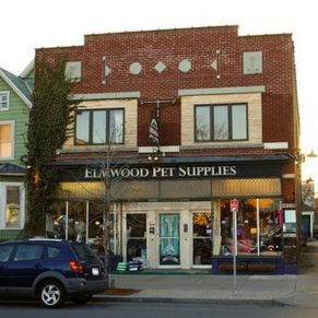 Pet Stores in Buffalo NY Visit Buffalo Niagara