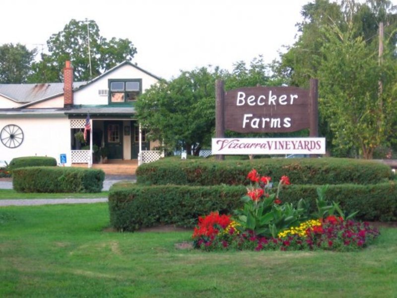 Becker Farms & Vizcarra Vineyards