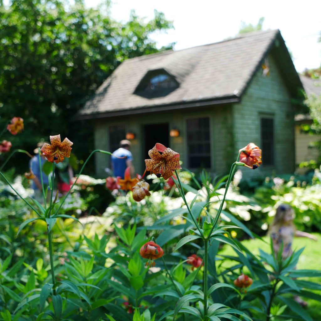 A Blooming Good Time: Exploring Buffalo's Open Gardens - Visit Buffalo ...