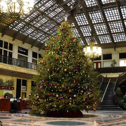 The Ellicott Square Building (295 Main St.) features a giant Christmas tree in its atrium.