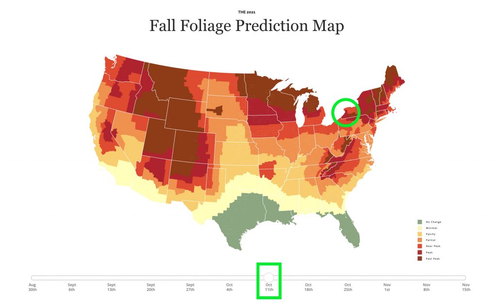 How to Find Fall Colors in Western New York Visit Buffalo Niagara