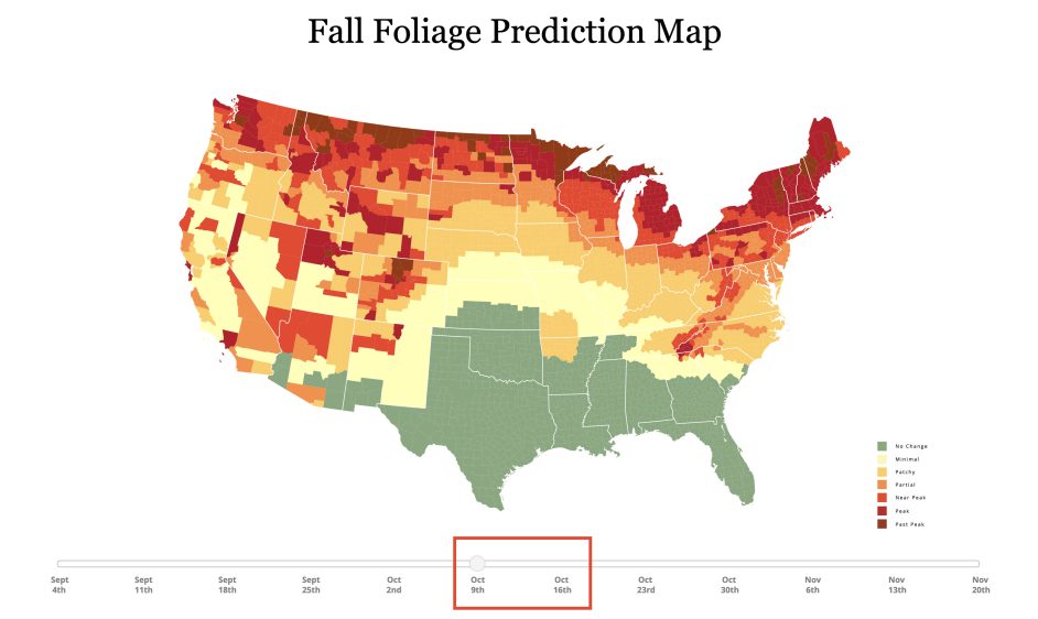 Where to Find Fall Colors in Western New York