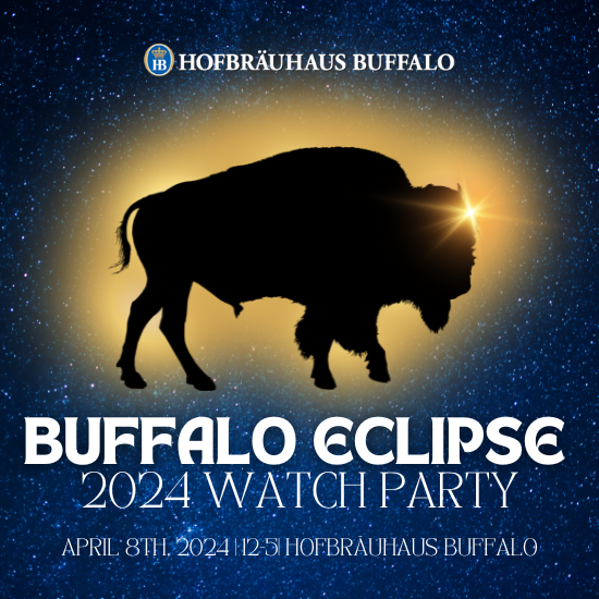Eclipse In Buffalo 2024 Camile Trescha